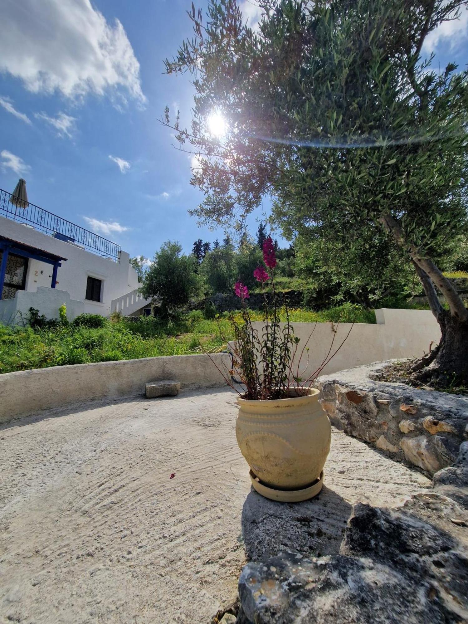 Stefanos Garden Appartement Arménoi Buitenkant foto