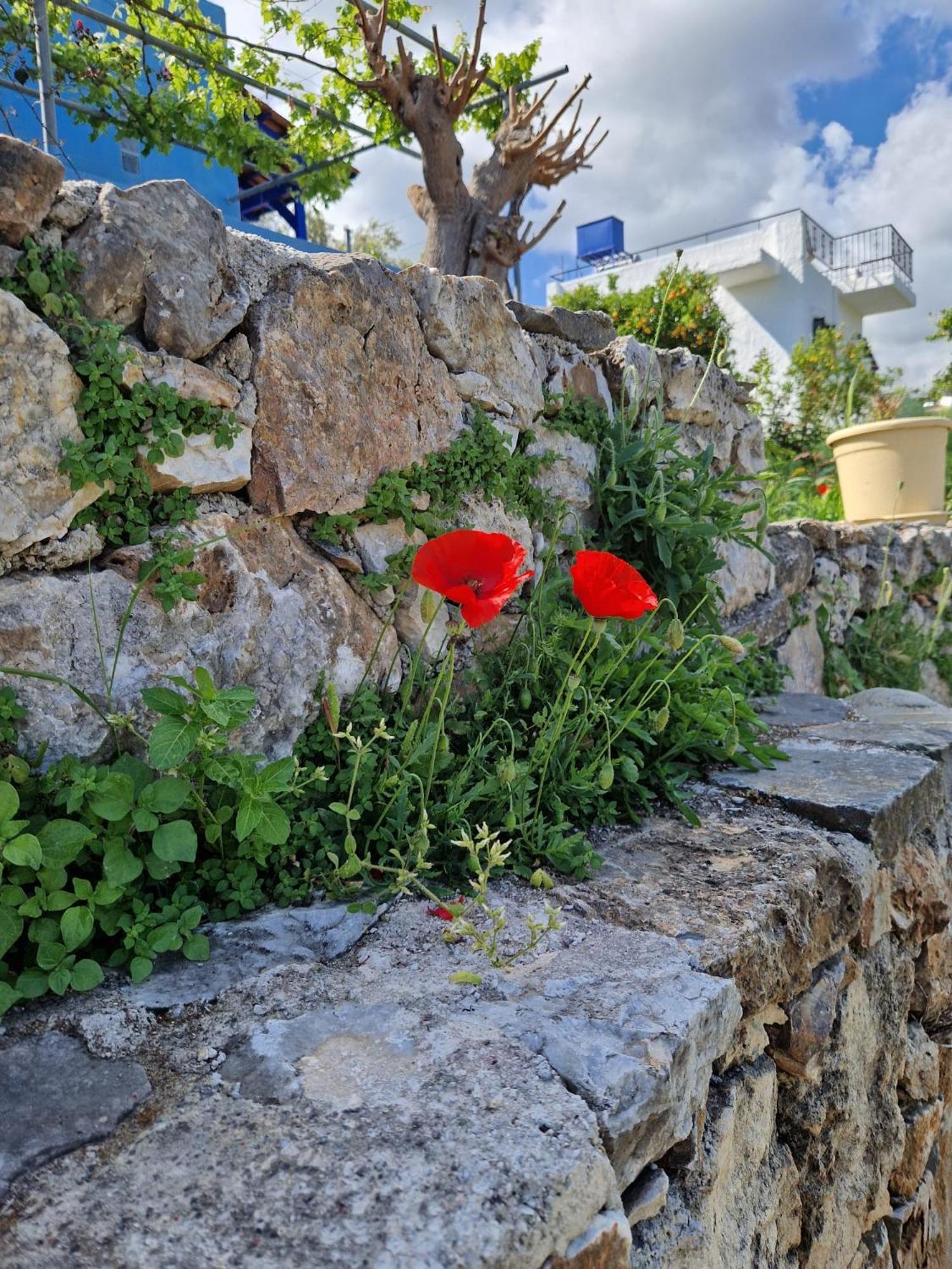 Stefanos Garden Appartement Arménoi Buitenkant foto