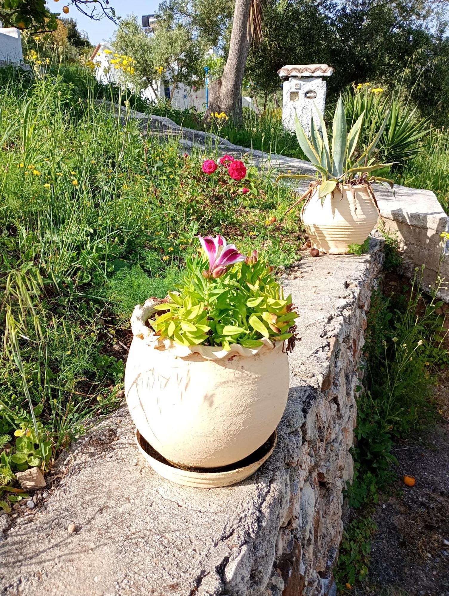 Stefanos Garden Appartement Arménoi Kamer foto